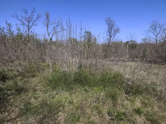 Land In Marčana, Croatia (4.381 M²)