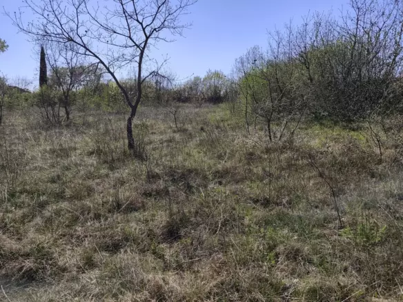 Land In Marčana, Croatia (4.381 M²)