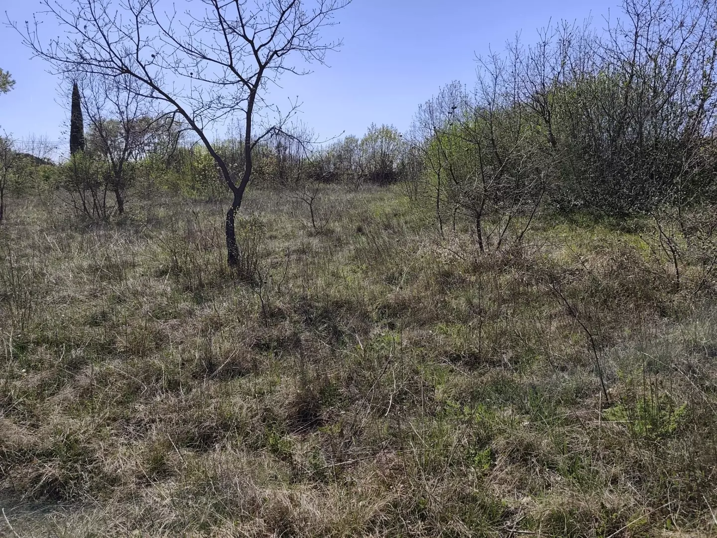 Land In Marčana, Croatia (4.381 M²)