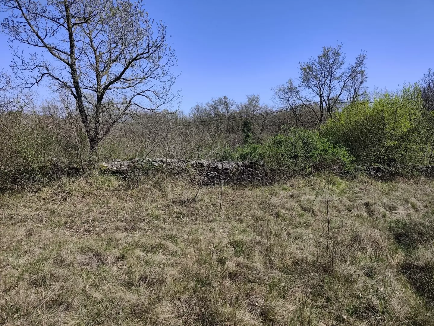 Land In Marčana, Croatia (4.381 M²)