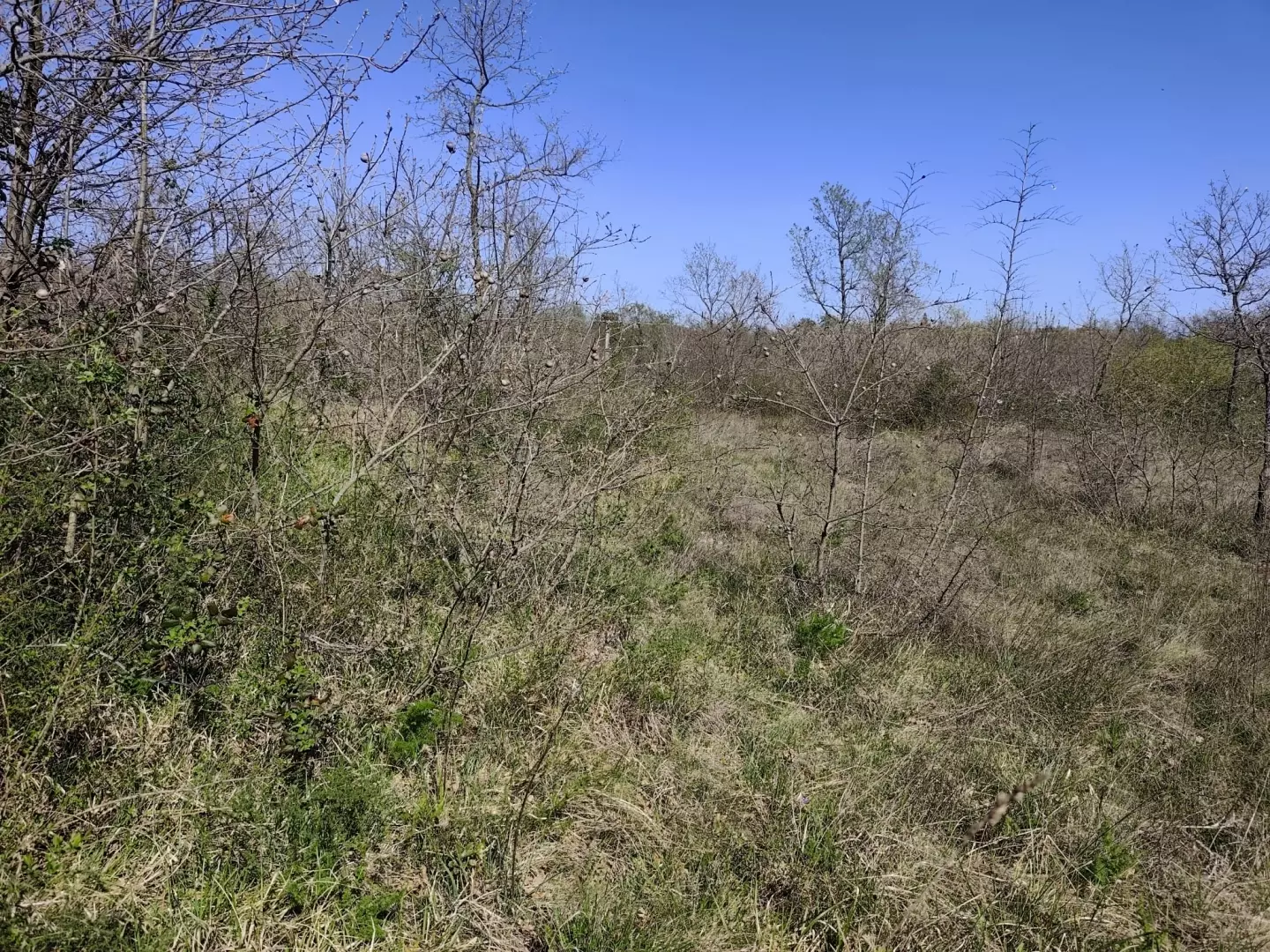 Land In Marčana, Croatia (4.381 M²)