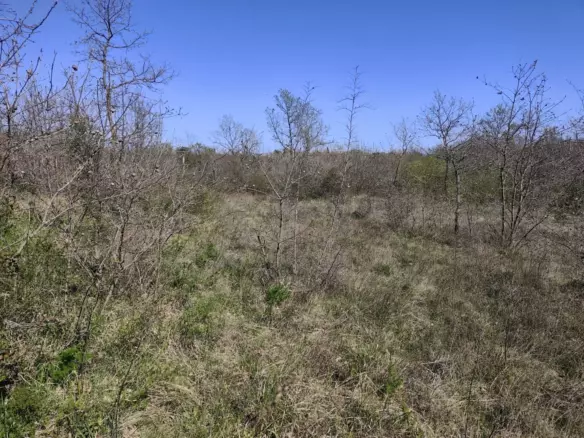 Land In Marčana, Croatia (4.381 M²)