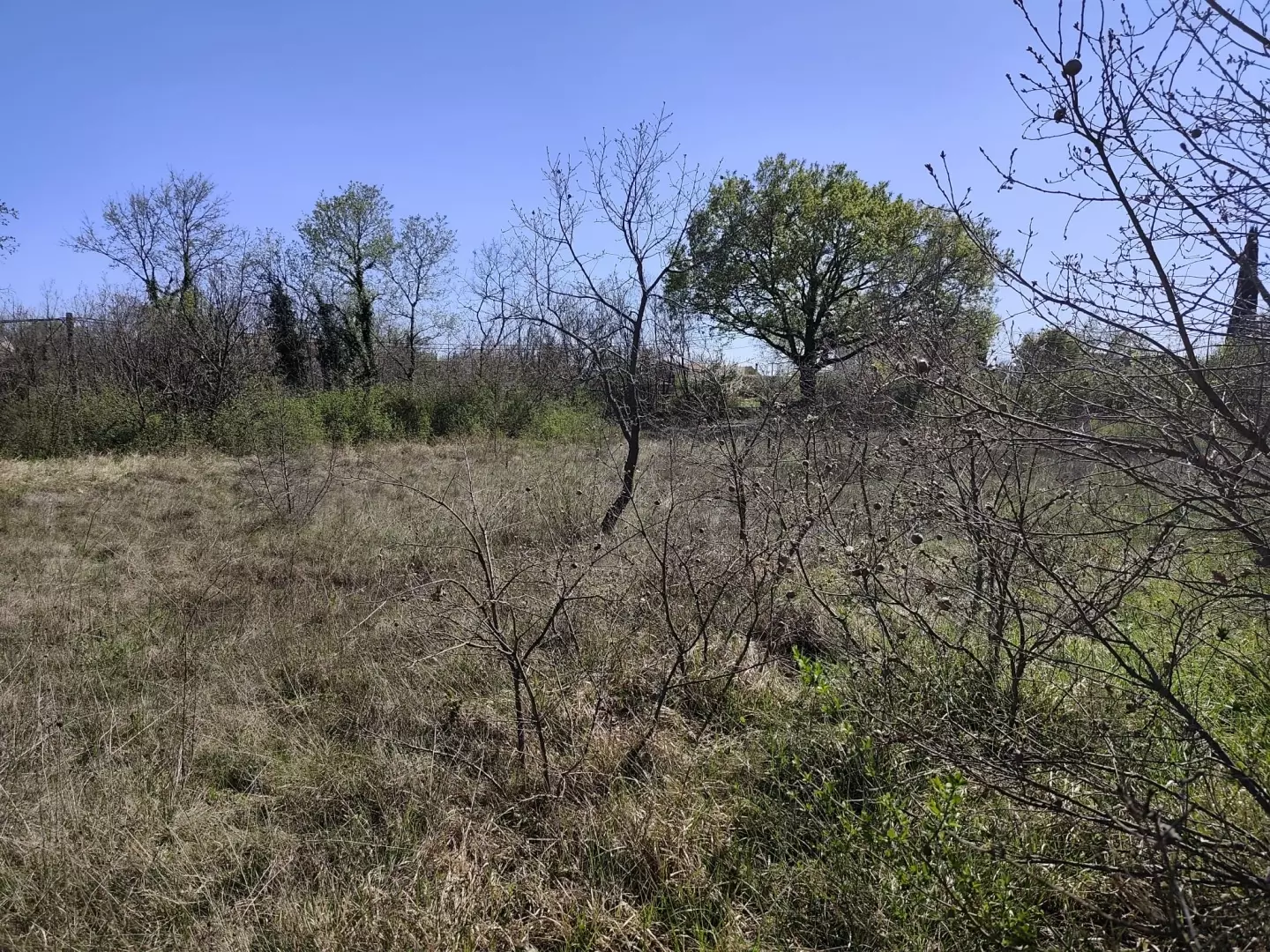 Land In Marčana, Croatia (4.381 M²)