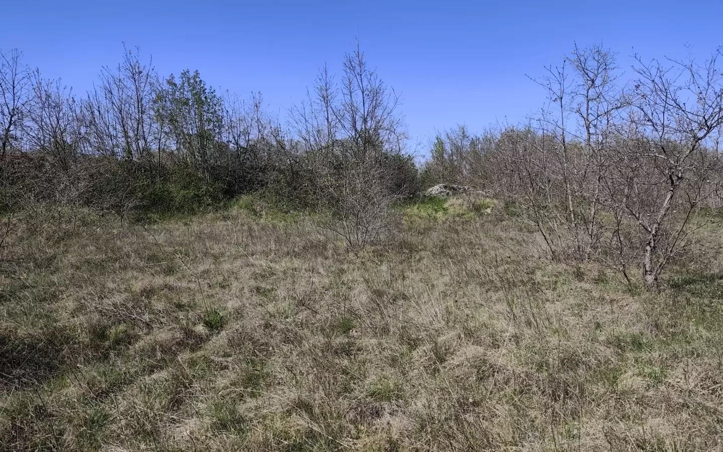 Land In Marčana, Croatia (4.381 M²)