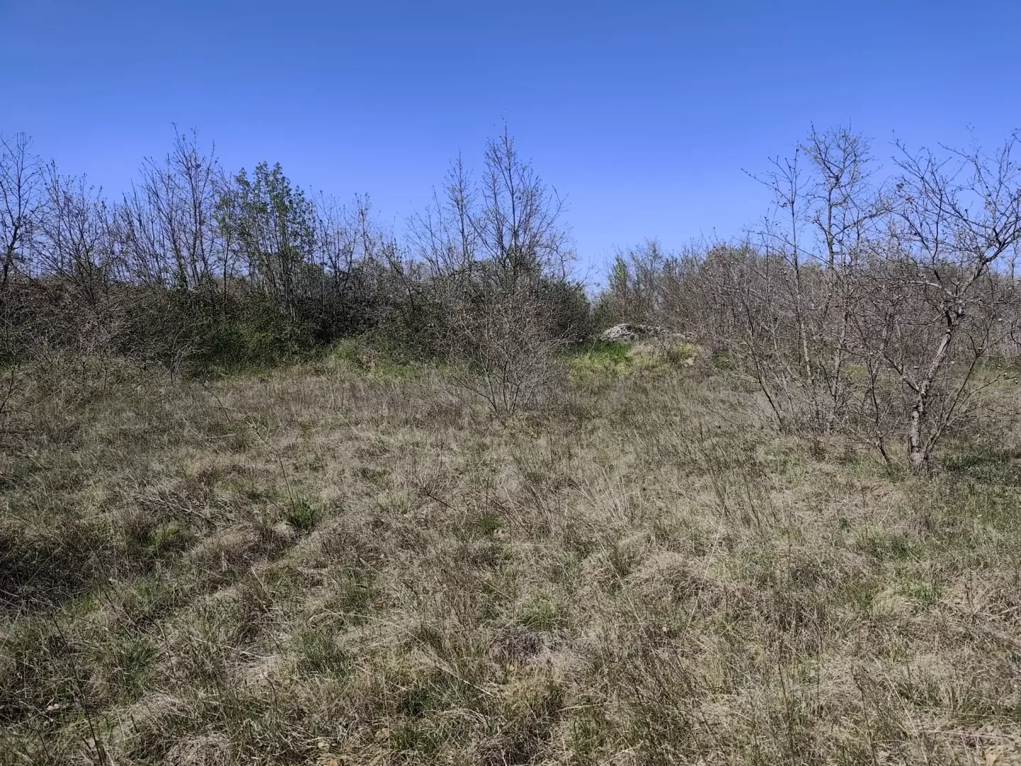 Land In Marčana, Croatia (4.381 M²)