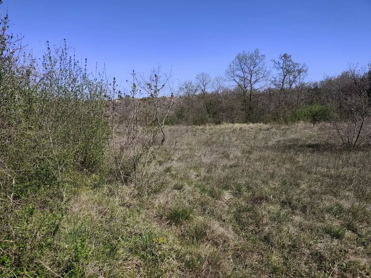 Land In Marčana, Croatia (4.992 M²)