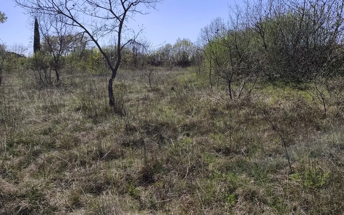 Land In Marčana, Croatia (4.992 M²)