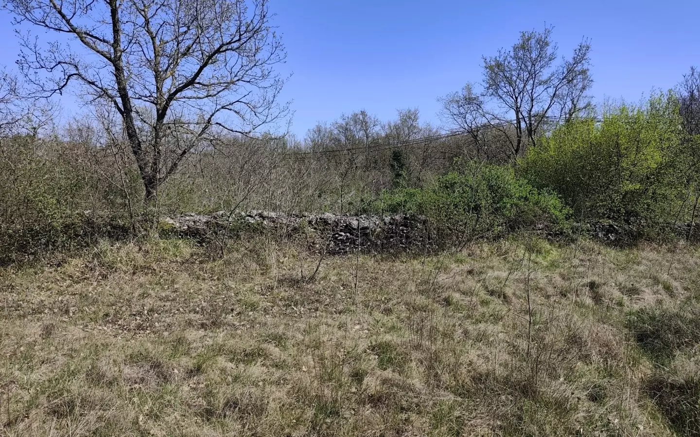 Land In Marčana, Croatia (4.992 M²)