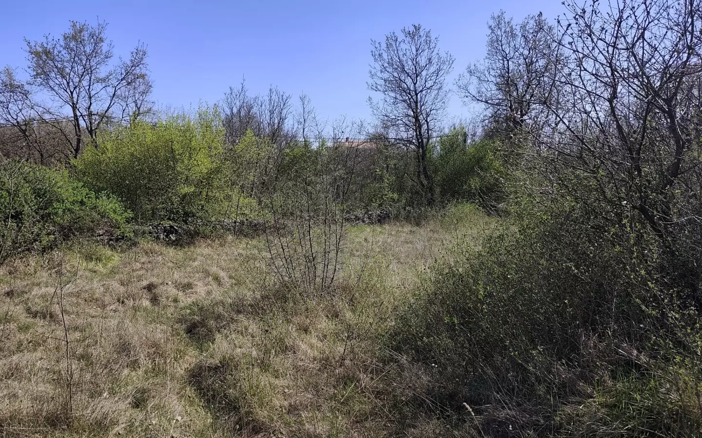Land In Marčana, Croatia (4.992 M²)