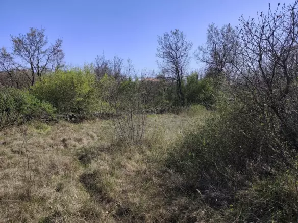 Land In Marčana, Croatia (4.992 M²)