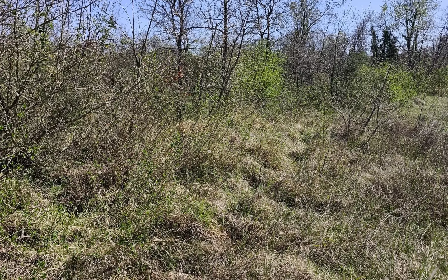 Land In Marčana, Croatia (4.992 M²)