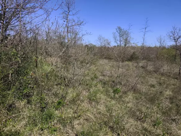 Land In Marčana, Croatia (4.992 M²)