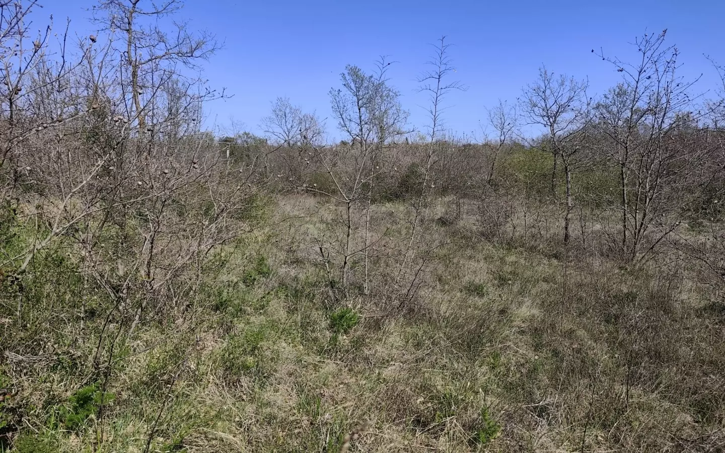 Land In Marčana, Croatia (4.992 M²)