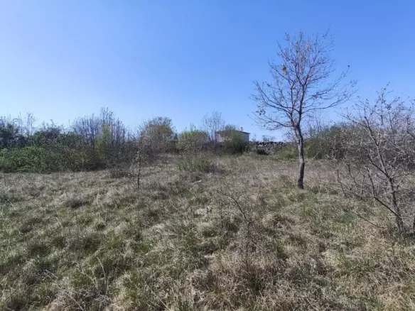 Land In Marčana, Croatia (4.992 M²)