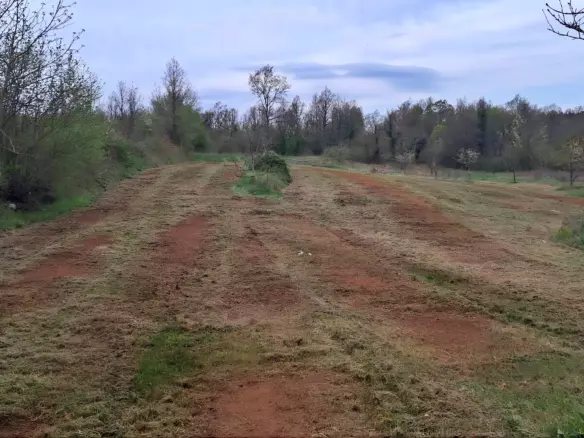 Land In Labin, Croatia (3.951 M²)