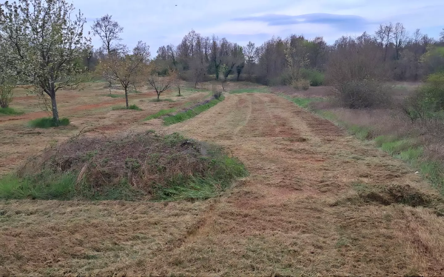 Land In Labin, Croatia (3.951 M²)