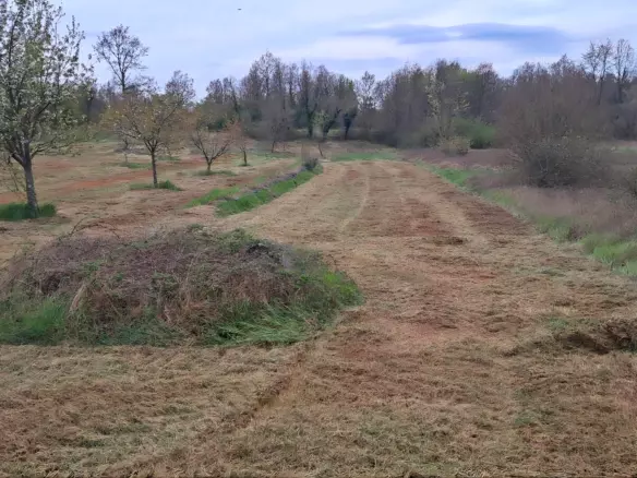 Land In Labin, Croatia (3.951 M²)