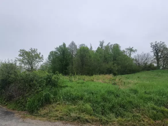 Land In Branovec, Croatia (603 M²)