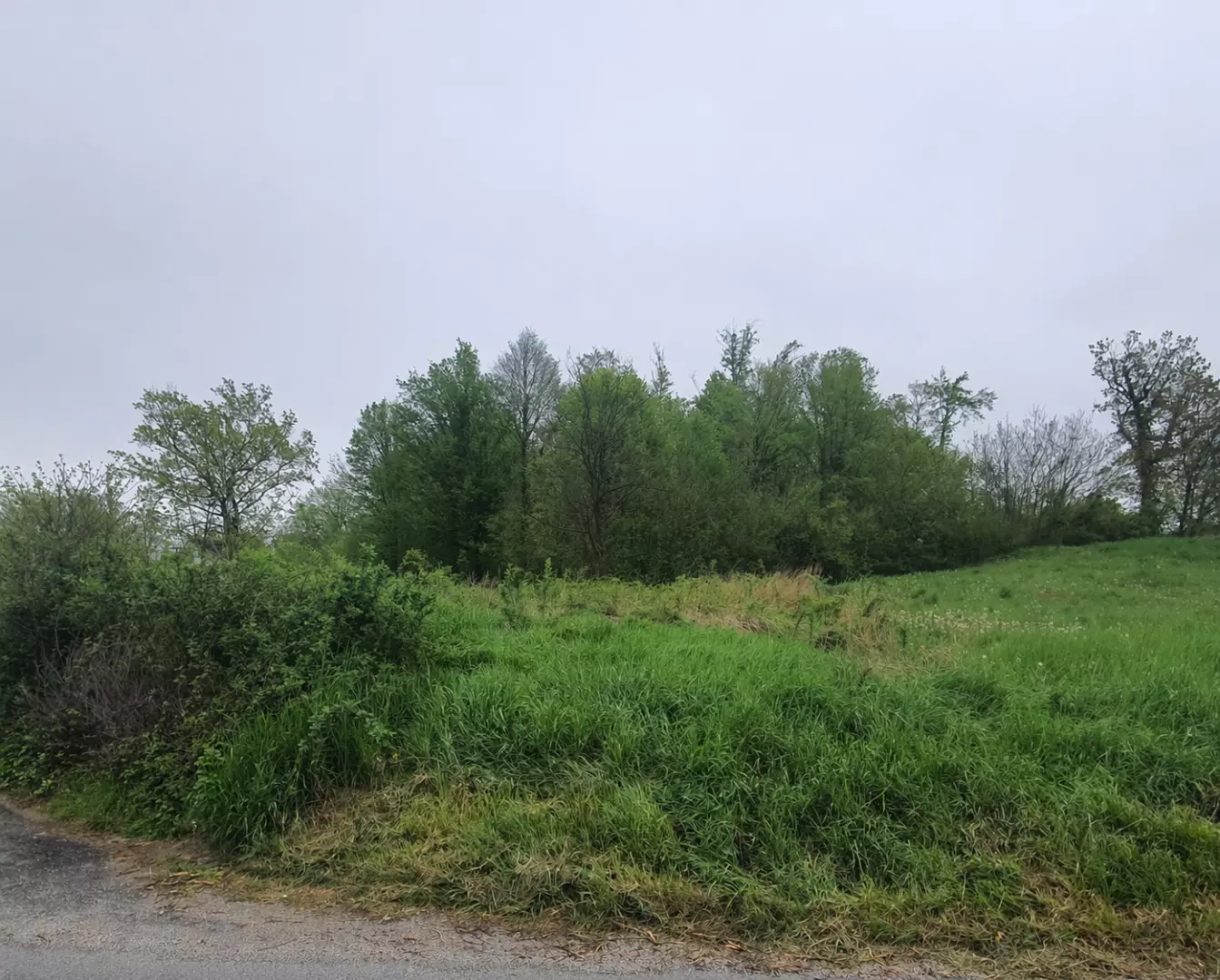 original_1776177111_zemljiste-tomislav-grzan-c02c4e Land In Branovec, Croatia (603 M²)