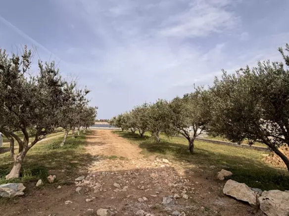 3-bedroom Apartment In Nin, Croatia (202,6 M²)