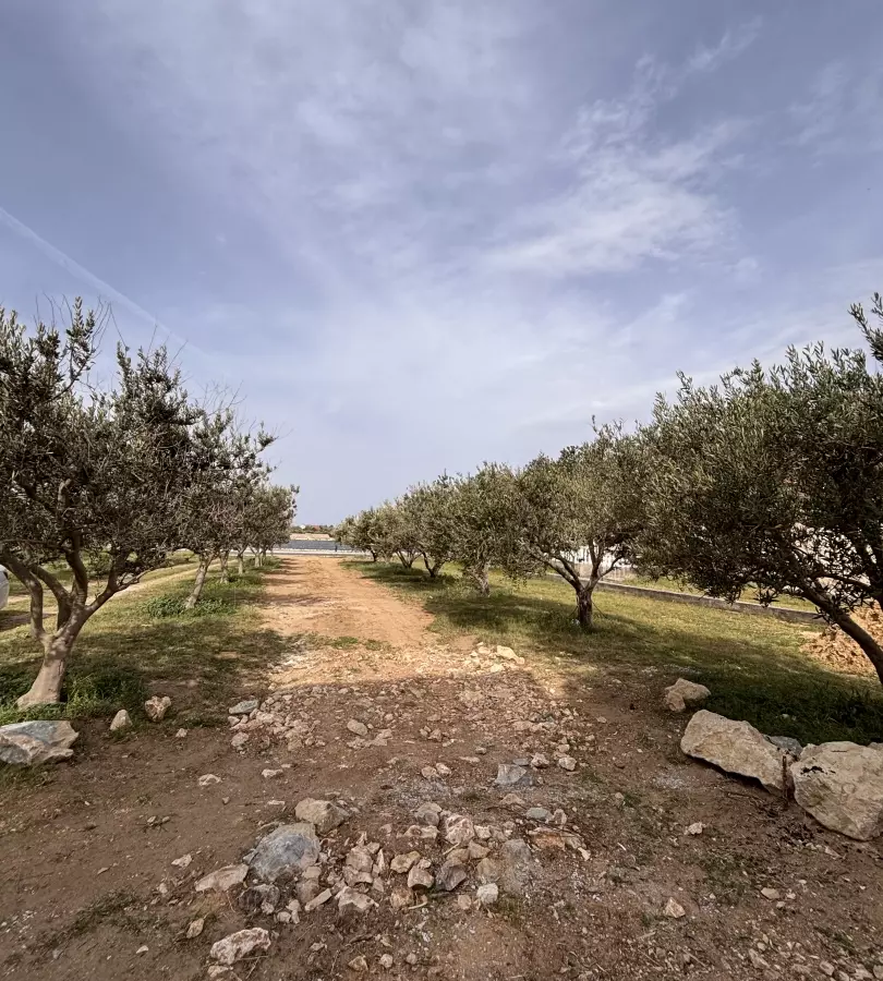 3-bedroom Apartment In Nin, Croatia (202,6 M²)