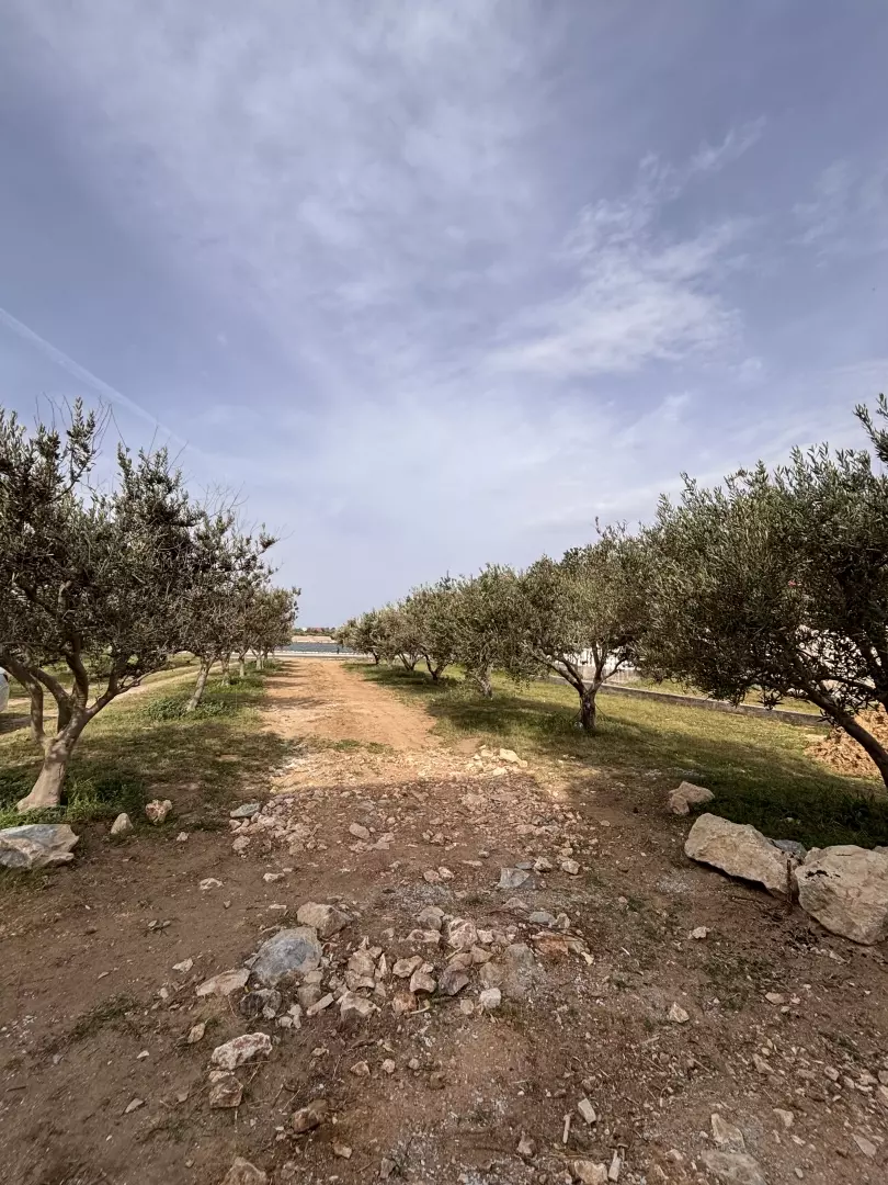 3-bedroom Apartment In Nin, Croatia (202,6 M²)