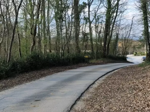 Land In Potpićan, Croatia (12.531 M²)