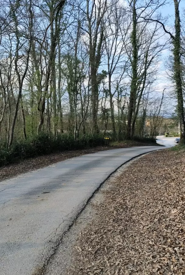 Land In Potpićan, Croatia (12.531 M²)