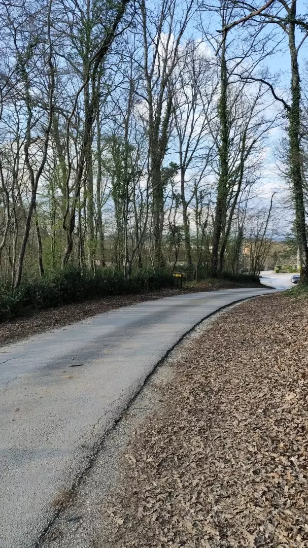 Land In Potpićan, Croatia (12.531 M²)
