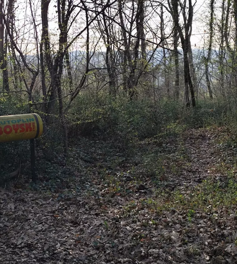 Land In Potpićan, Croatia (12.531 M²)