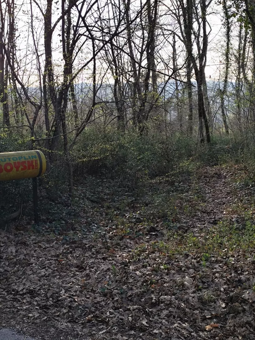 Land In Potpićan, Croatia (12.531 M²)