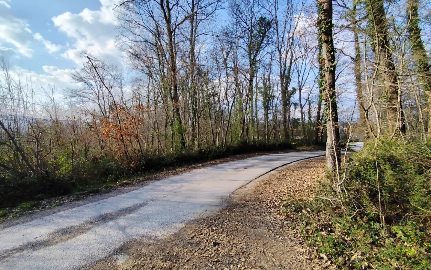 Land In Potpićan, Croatia (12.531 M²)