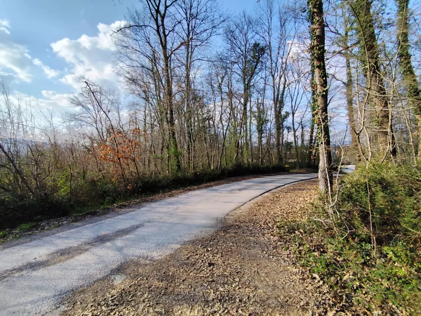 Land In Potpićan, Croatia (12.531 M²)