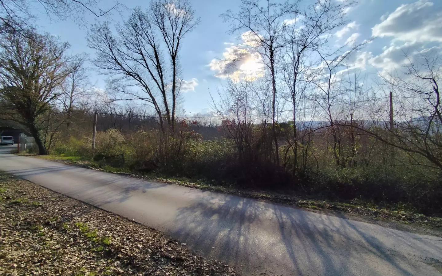 Land In Potpićan, Croatia (12.531 M²)