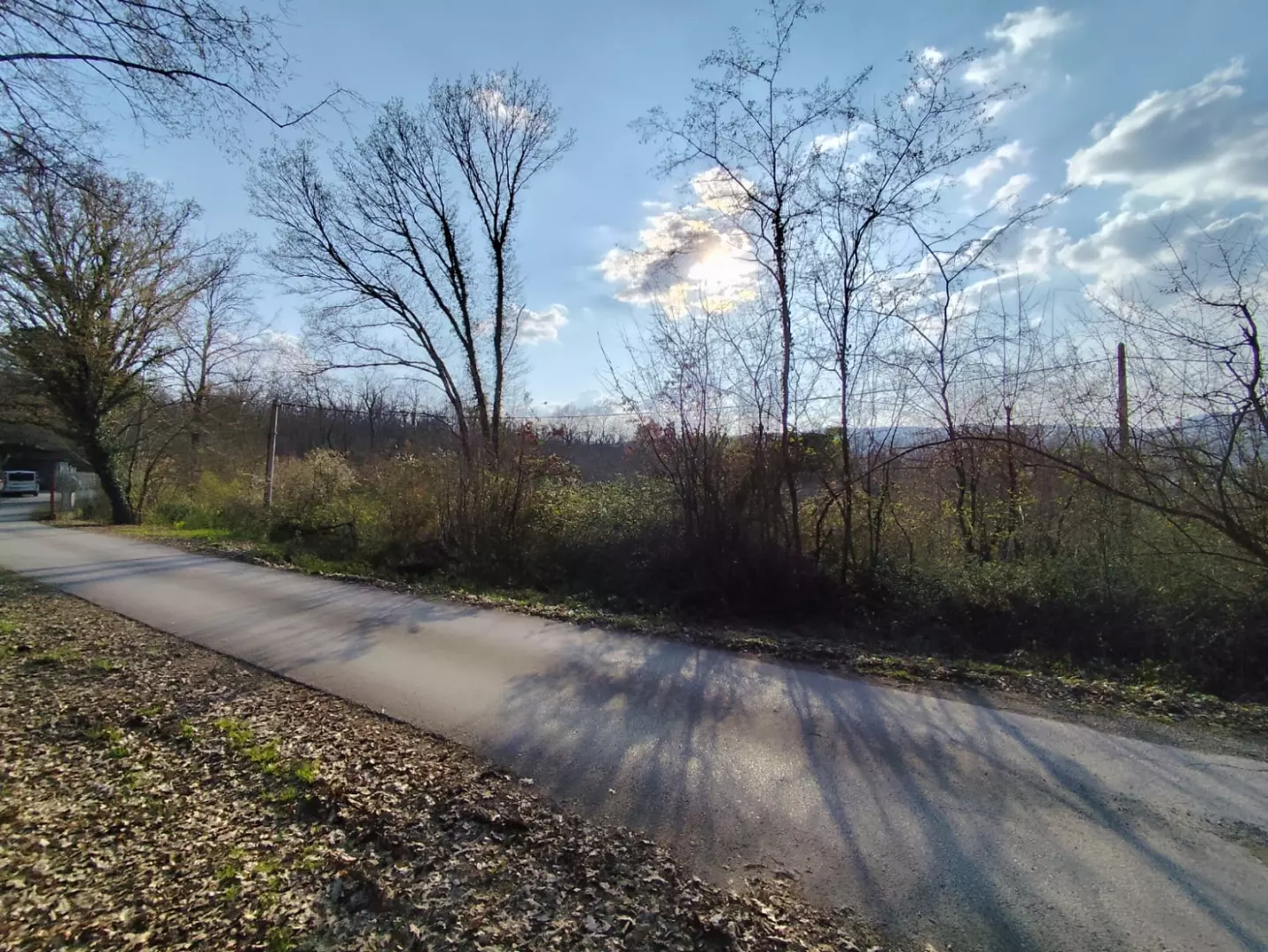 Land In Potpićan, Croatia (12.531 M²)