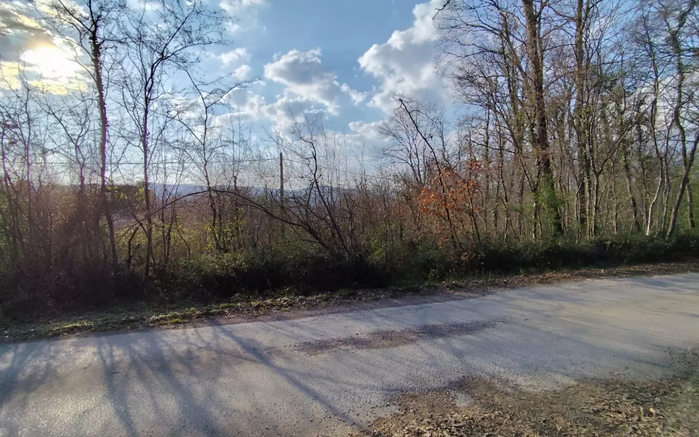 Land In Potpićan, Croatia (12.531 M²)