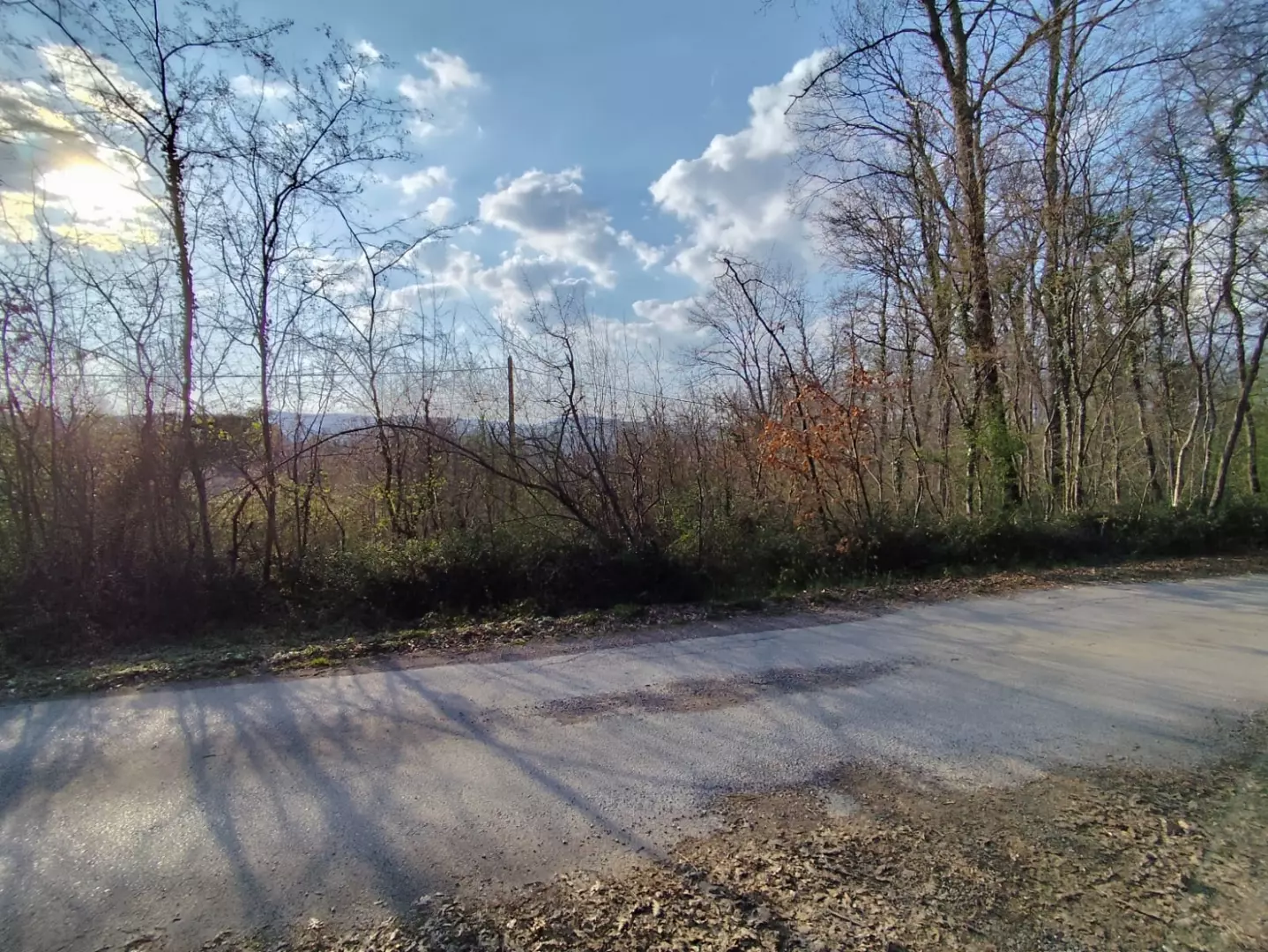 Land In Potpićan, Croatia (12.531 M²)