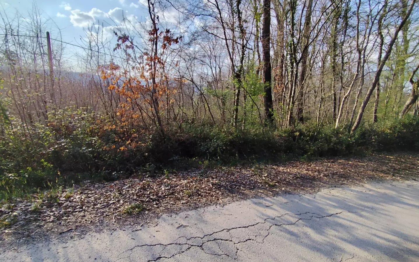 Land In Potpićan, Croatia (12.531 M²)