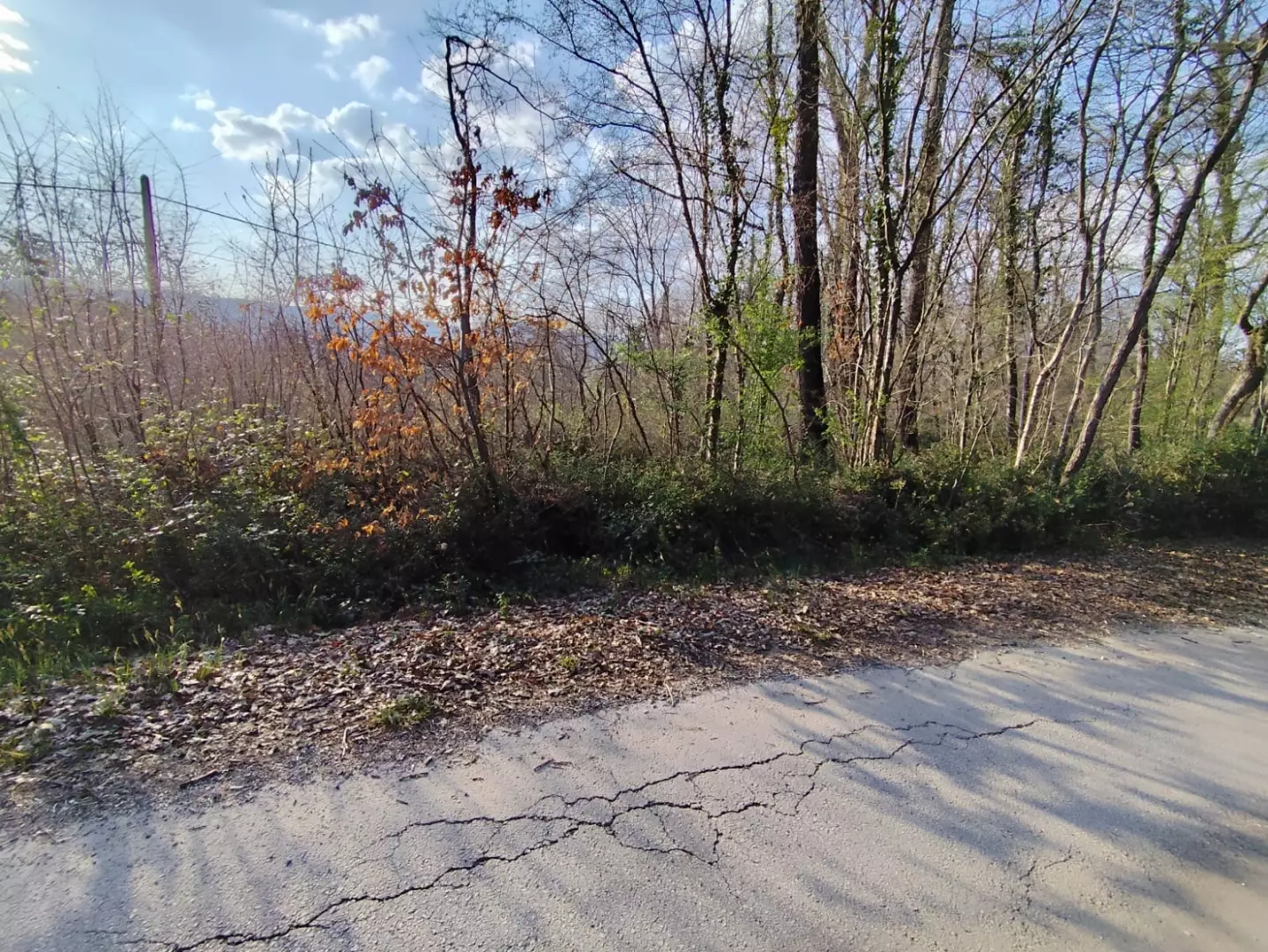 Land In Potpićan, Croatia (12.531 M²)