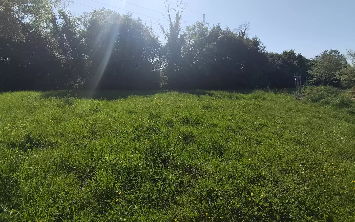 Land In Monteserpo – Komunal, Croatia (535 M²)