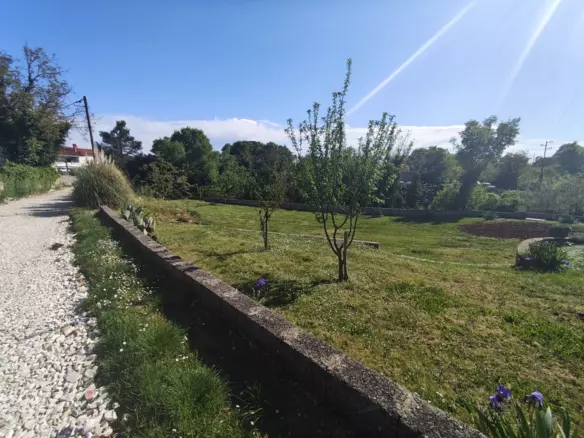 Land In Filipana, Croatia (1.144 M²)