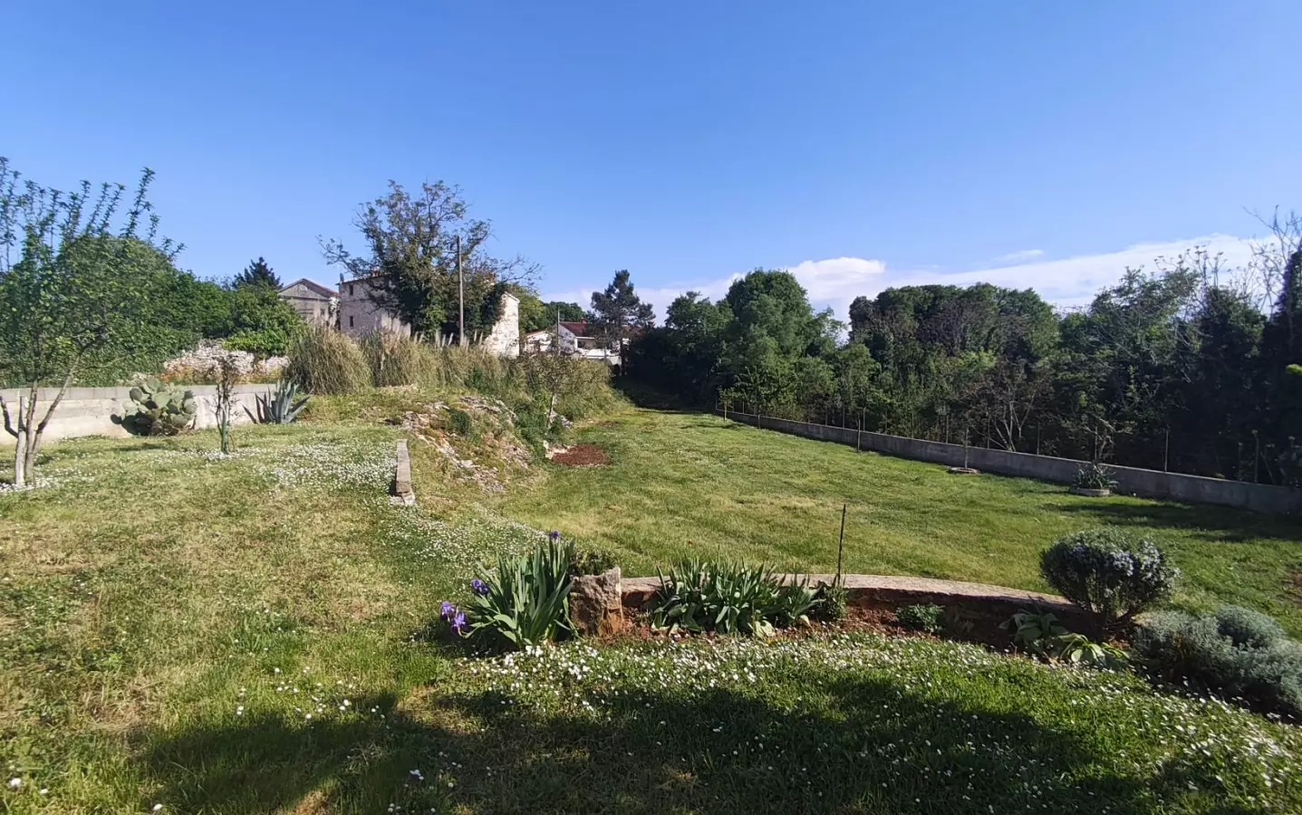 Land In Filipana, Croatia (1.144 M²)