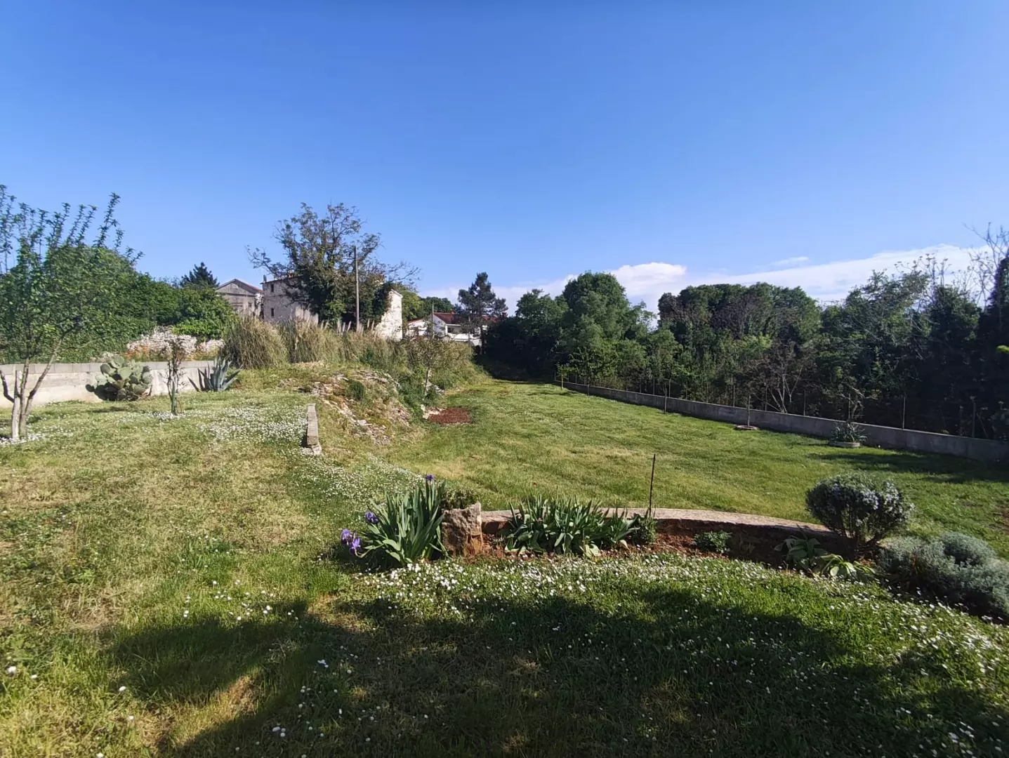 Land In Filipana, Croatia (1.144 M²)