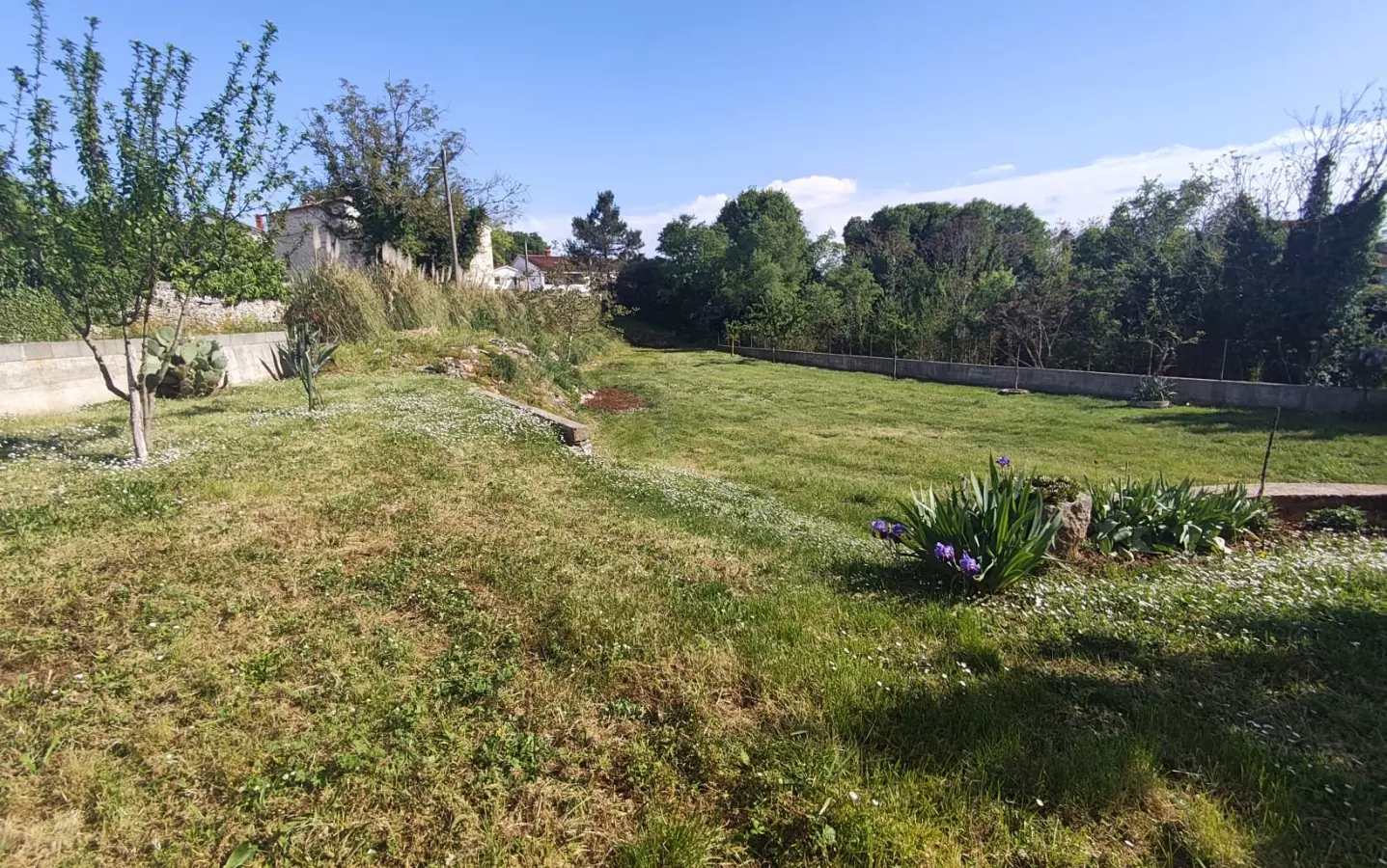 Land In Filipana, Croatia (1.144 M²)