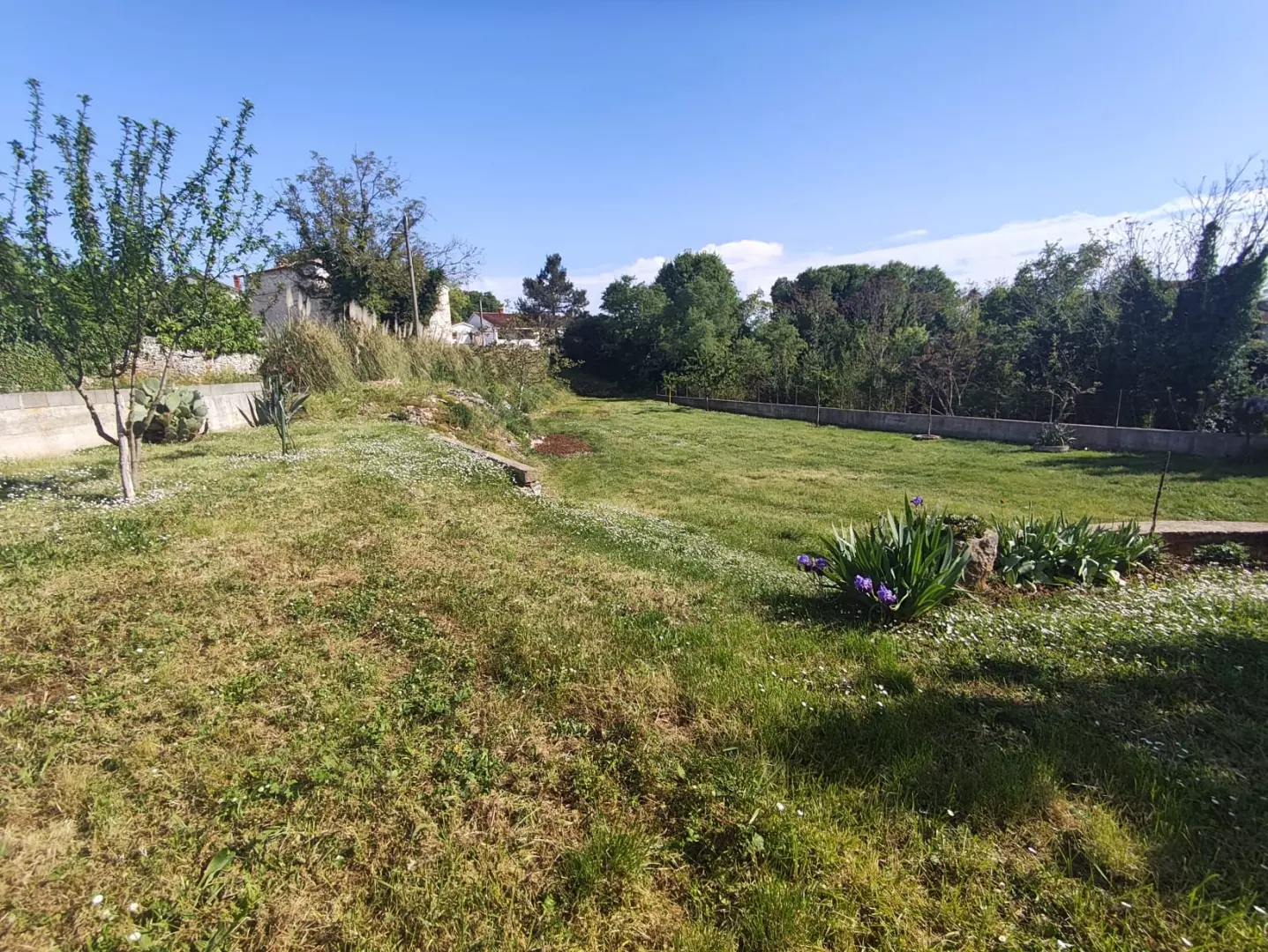 Land In Filipana, Croatia (1.144 M²)