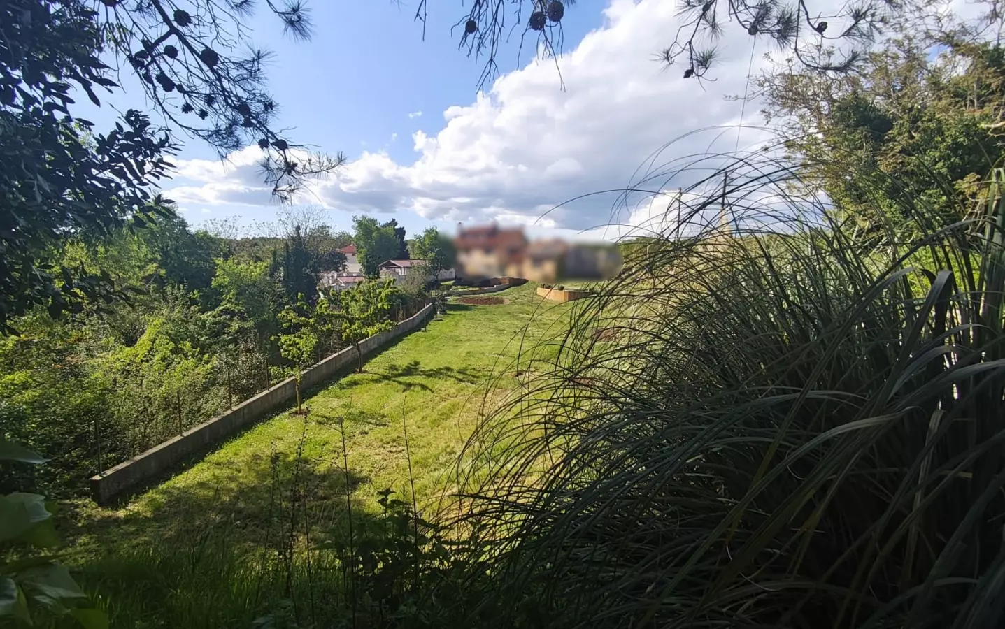 Land In Filipana, Croatia (1.144 M²)