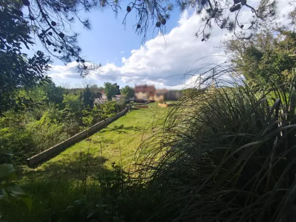 Land In Filipana, Croatia (1.144 M²)
