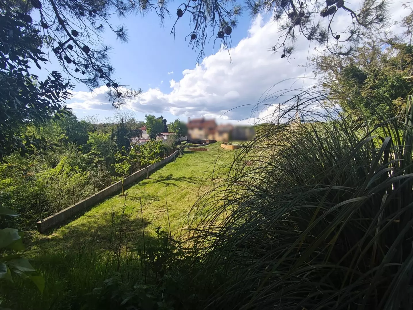 Land In Filipana, Croatia (1.144 M²)