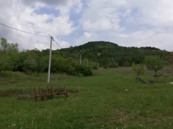 Land In Motovun, Croatia (5.575 M²)
