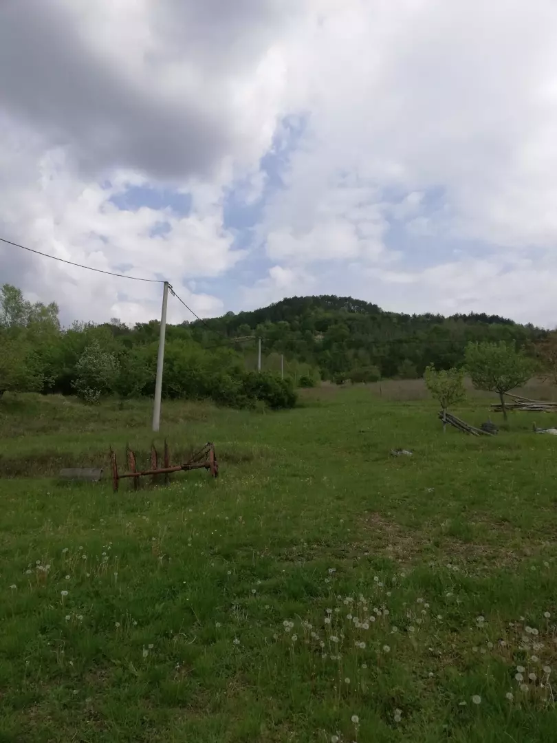 Land In Motovun, Croatia (5.575 M²)
